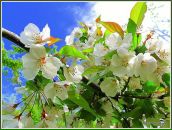 Фотография Ковалёвой Оксаны