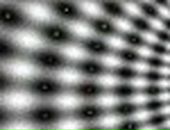 Free Man фотография #39 (источник - https://vk.com/id2415357)