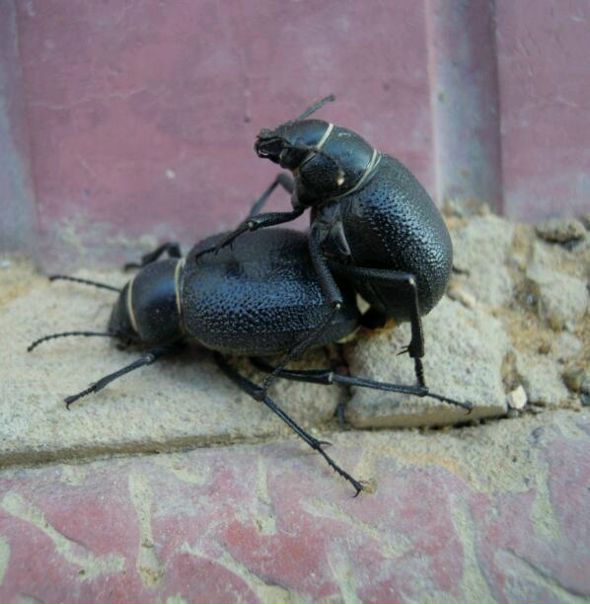 №14, Виталя Мамаев, 40 лет, Байконур №14, Виталя Мамаев, 40 лет, Байконур