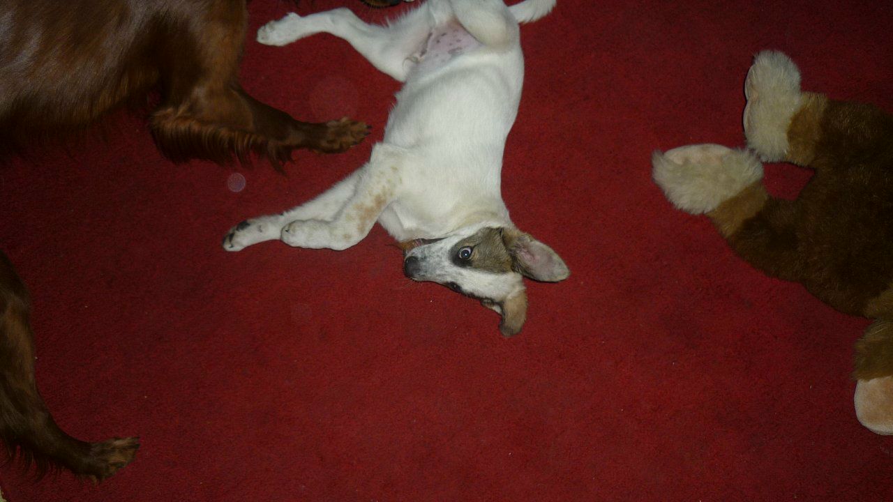 Александр Усов фотография #21