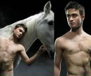 Фотография Daniel Radcliffe