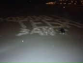 Фотография Калашникова Александра