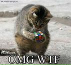 Денис Смит фотография #1