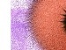 Оленочка Андрієвська фотография #35 (источник - https://vk.com/id136493412)