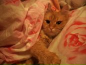 Фотография Лякуткиной Валерии