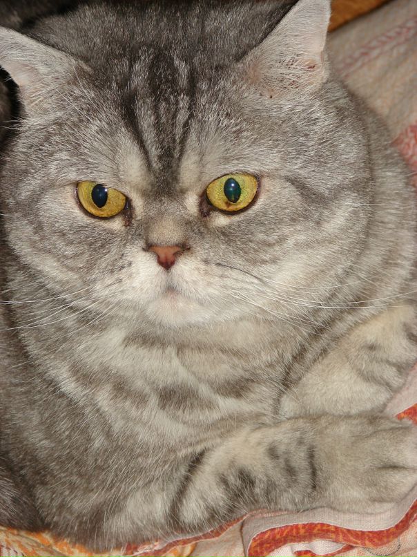 Владимир Синицын фотография #19