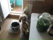 Фотография Александровны Инны