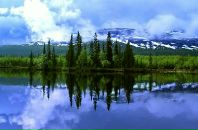 Міша Савляк фотография #1