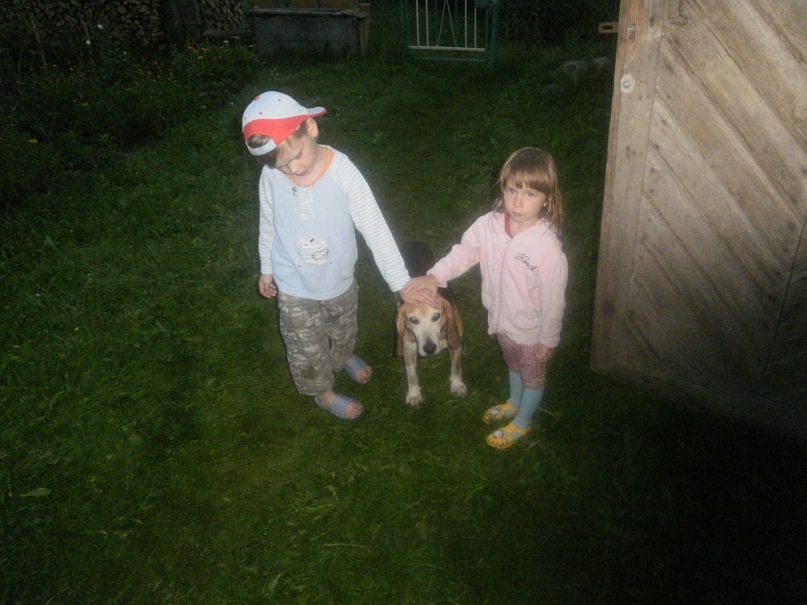 Дмитрий Авадень фотография #31