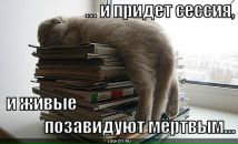 Фотография Коваленко Ирины