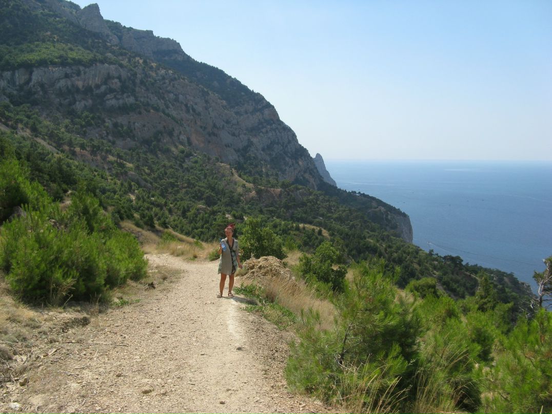 Cucumber Jam фотография #19