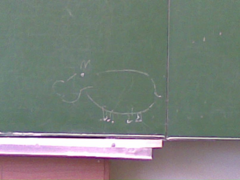 Дмитрий Полетаев фотография #15