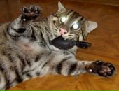 Фотография Осипенко Валерия