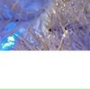 Галя Зінчук фотография #2 (источник - https://vk.com/id66067971)