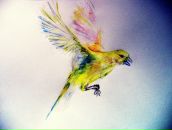 Yulia Le фотография #48 (источник - https://vk.com/id145136)