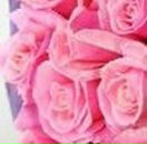 Катя Худзій фотография #40 (источник - https://vk.com/id49638522)