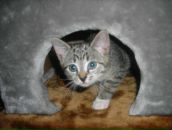 Фотография Нечаевой Марины