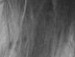 Крістя Руснак фотография #44 (источник - https://vk.com/id118617839)