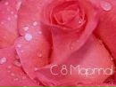 Фотография Ирина Шмелёва(кричко)