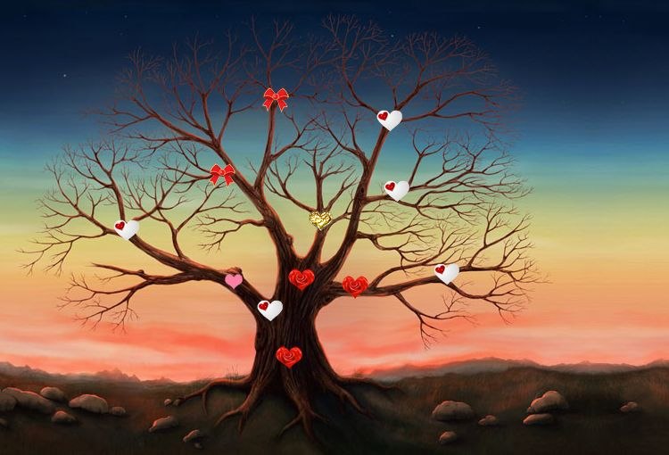 Элис Каленн фотография #21