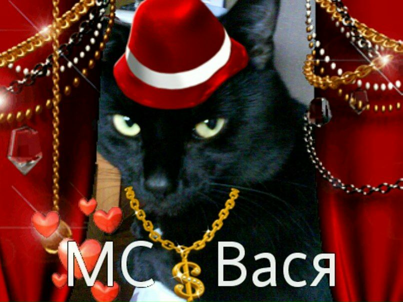 Мс-Вася Басаков фото №1