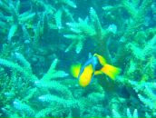 Евгений Мурышкин фотография #30 (источник - https://vk.com/id107583)