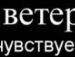 Ser_drag Дяк фотография #5 (источник - https://vk.com/id63150673)