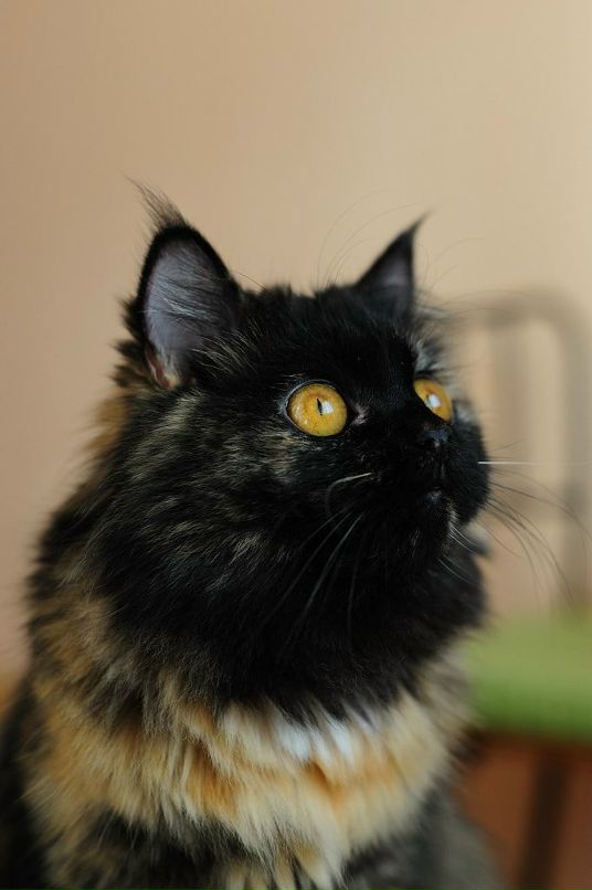 Иван Лихачев фотография #21