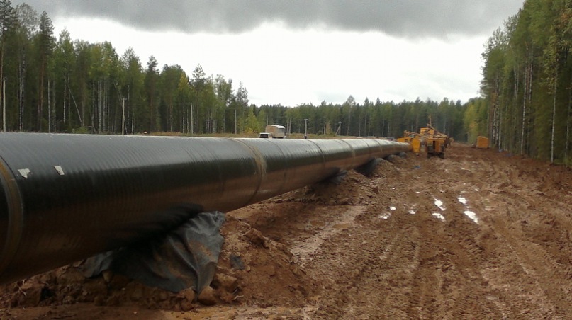 Евгений Мишарин фотография #1