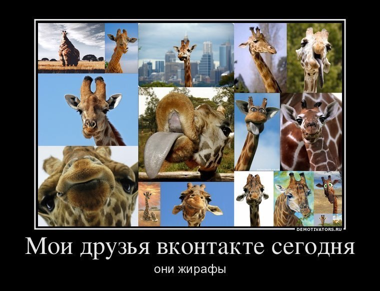 Георгий Гвоздев фотография #38