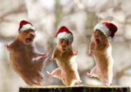 Фотография Чередниченко Леонида