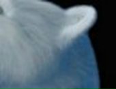 Андрій Антоняк фотография #22 (источник - https://vk.com/id4683391)