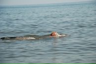 Фотография Алексеевой Яны