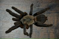 Сергій Момот фотография #45 (источник - https://vk.com/id3990608)