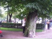 Фотография Смирновой Юлии