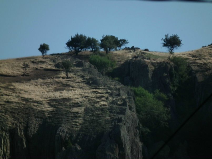 Макс Дейниченко фото №15