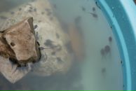 Илья Ткаленко фотография #43 (источник - https://vk.com/id1700512)