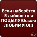 Нікіта Сачков фотография #13 (источник - https://vk.com/id156046422)