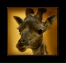 Фотография Долгановой Кристины