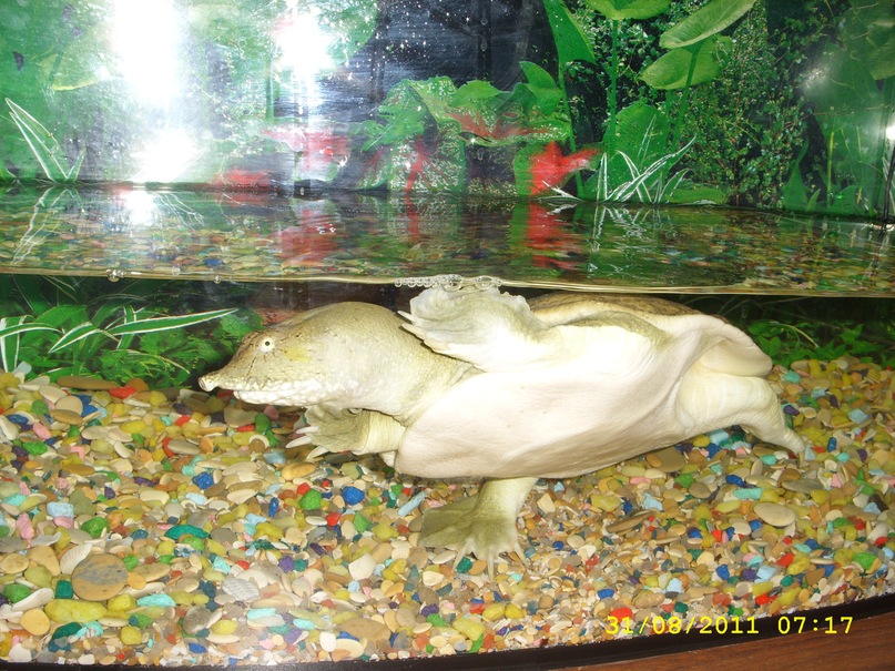 Игорь Панченко фотография #5