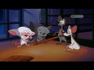 Пинки и Брейн (4 Сезон 5 Серия)