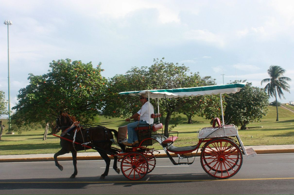 Сергей Коваленко фотография #47