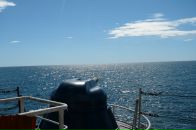 Johnny Bravo фотография #14 (источник - https://vk.com/id3681697)