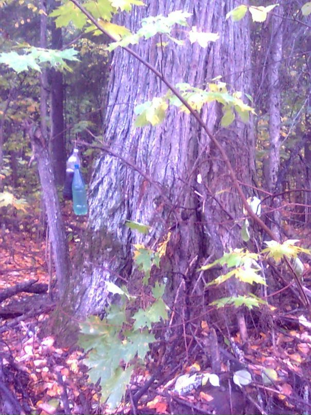 Николай Батуев фотография #17