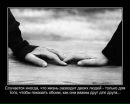 Фотография Адамовича Александра