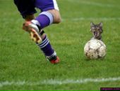 Андрій Кузенко фотография #3 (источник - https://vk.com/id147448792)