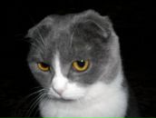 Фотография Rassadin Alex