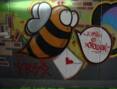 Фотография Йеничери Веры