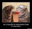 Фотография Романовой Маши