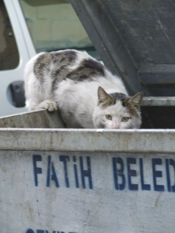 Илья Букеев фотография #41